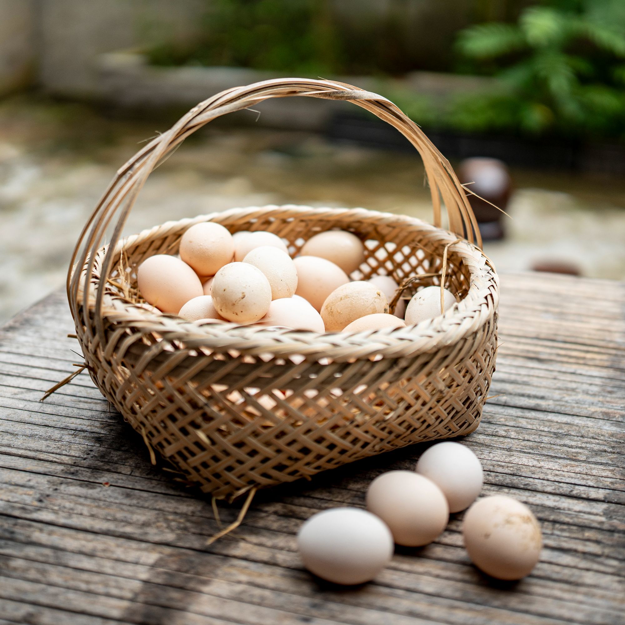 农家散养土鸡蛋. 笨鸡蛋. 柴鸡蛋 30枚