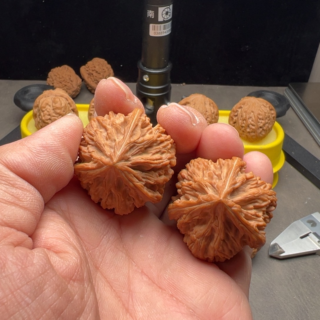 文玩核桃把件文山正奔37