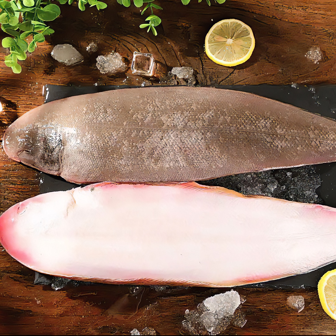 野生海捕龙利鱼 极速锁鲜发货 全国顺丰冷链包邮 3-4条/斤