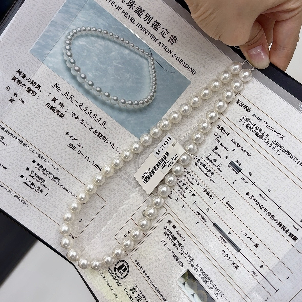 真科研 SK 澳白凤凰 9-11.1mm 正圆宝石光极微瑕