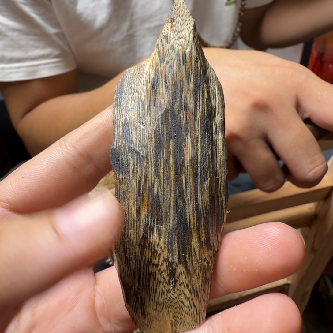 块料块料块料块料