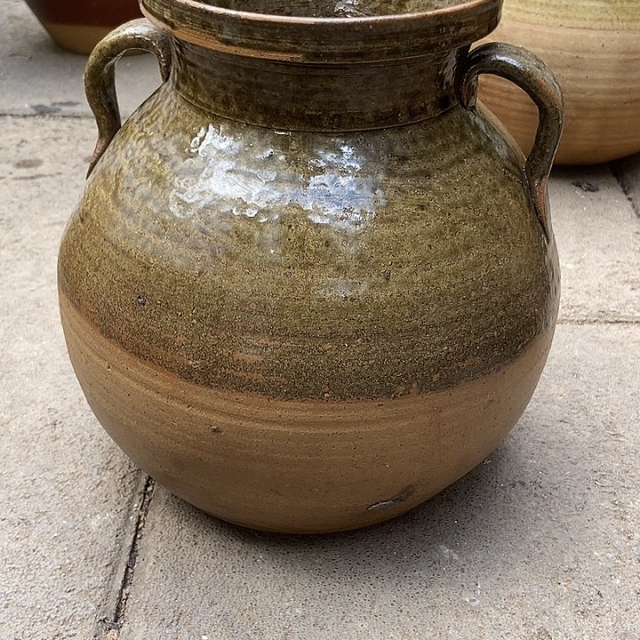 无花朵玫瑰花玫瑰花玫瑰花玫瑰花