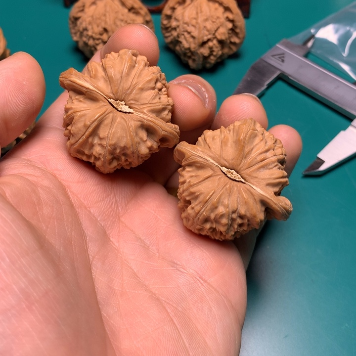 把件文玩核桃噜***嘞白狮子