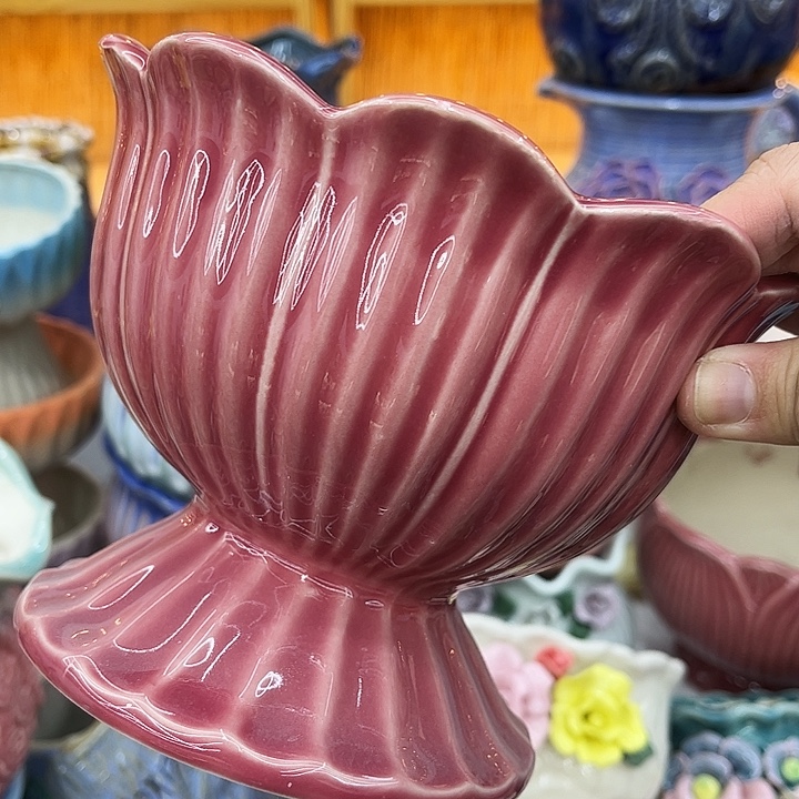 多肉植物陶瓷花盆