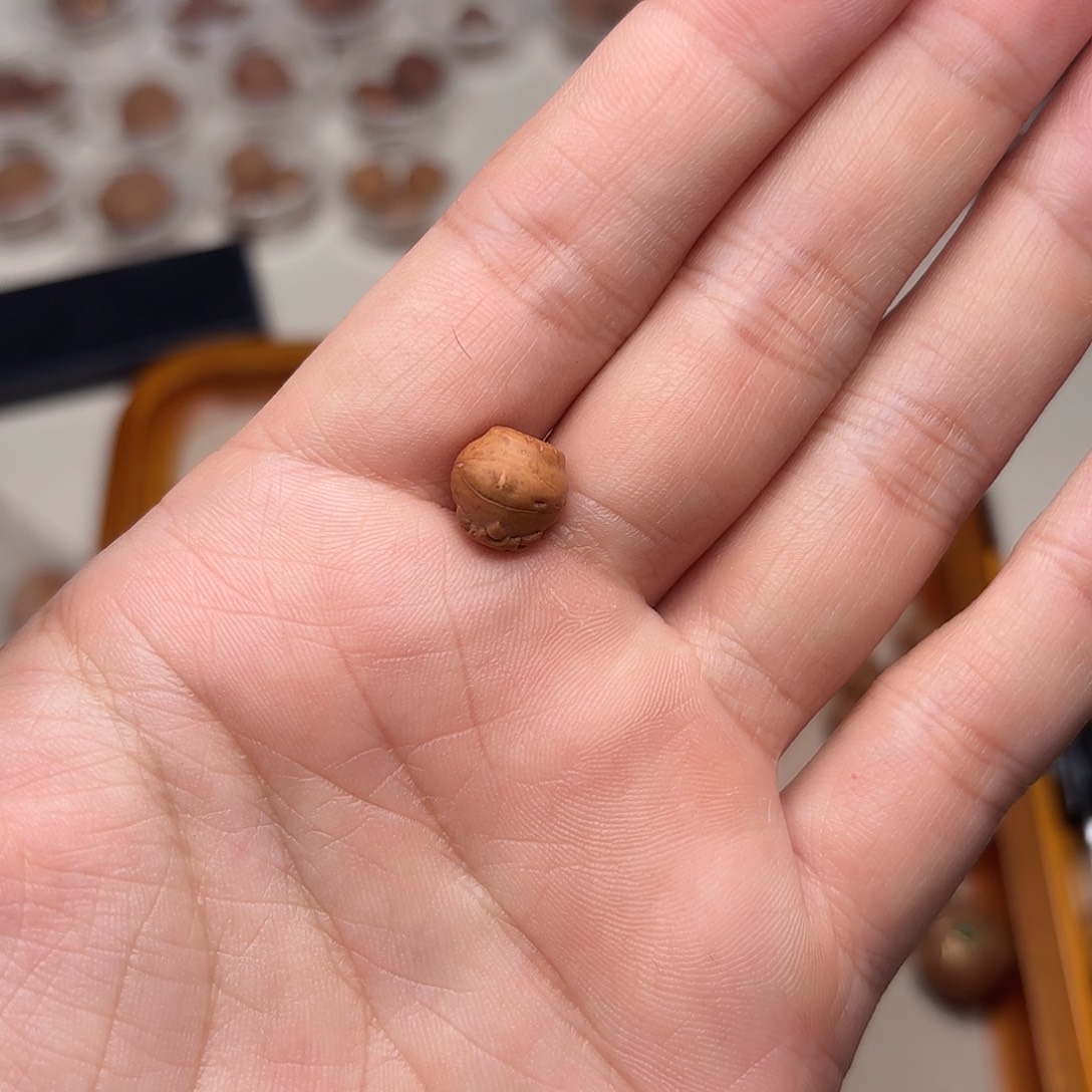 A***.凤眼菩提手串手工佛塔1.0