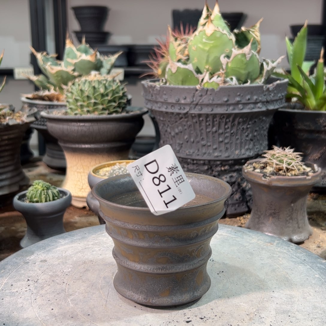 景德镇手工素里内口10该8