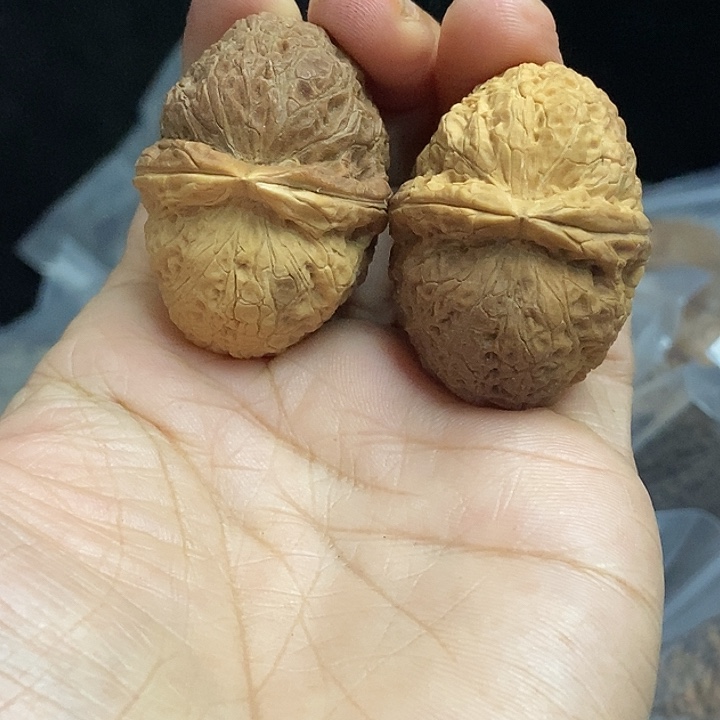 把件文玩核桃云南铁核桃基地82