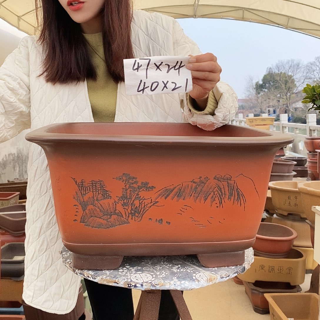 紫砂花盆紫砂花盆