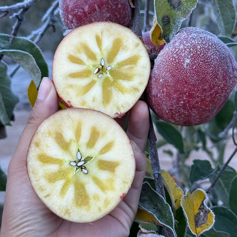 【保糖心】云南高山糖心丑苹果 新鲜采摘富士当季鲜果 脆蜜甜爆汁