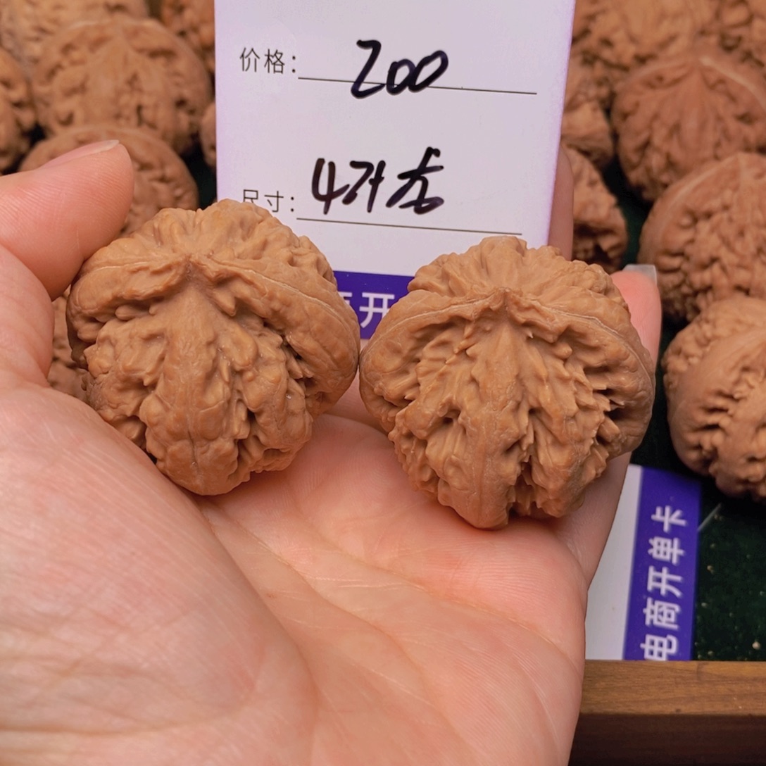 文玩核桃霸王龙核桃