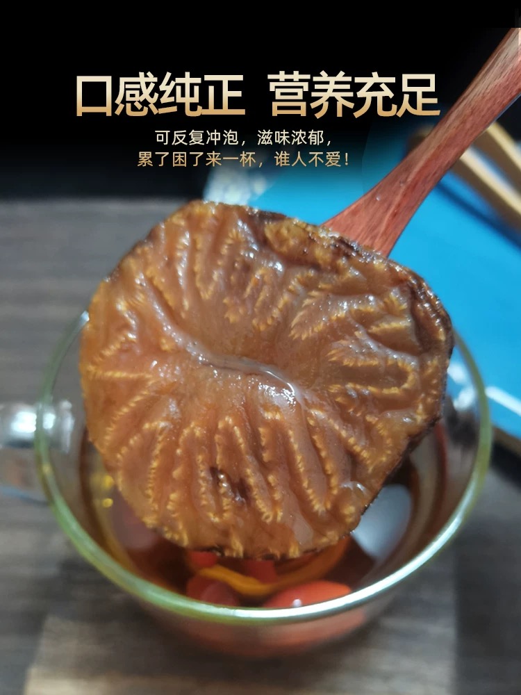 内蒙古阿拉善肉蓉蓉片（体验装）