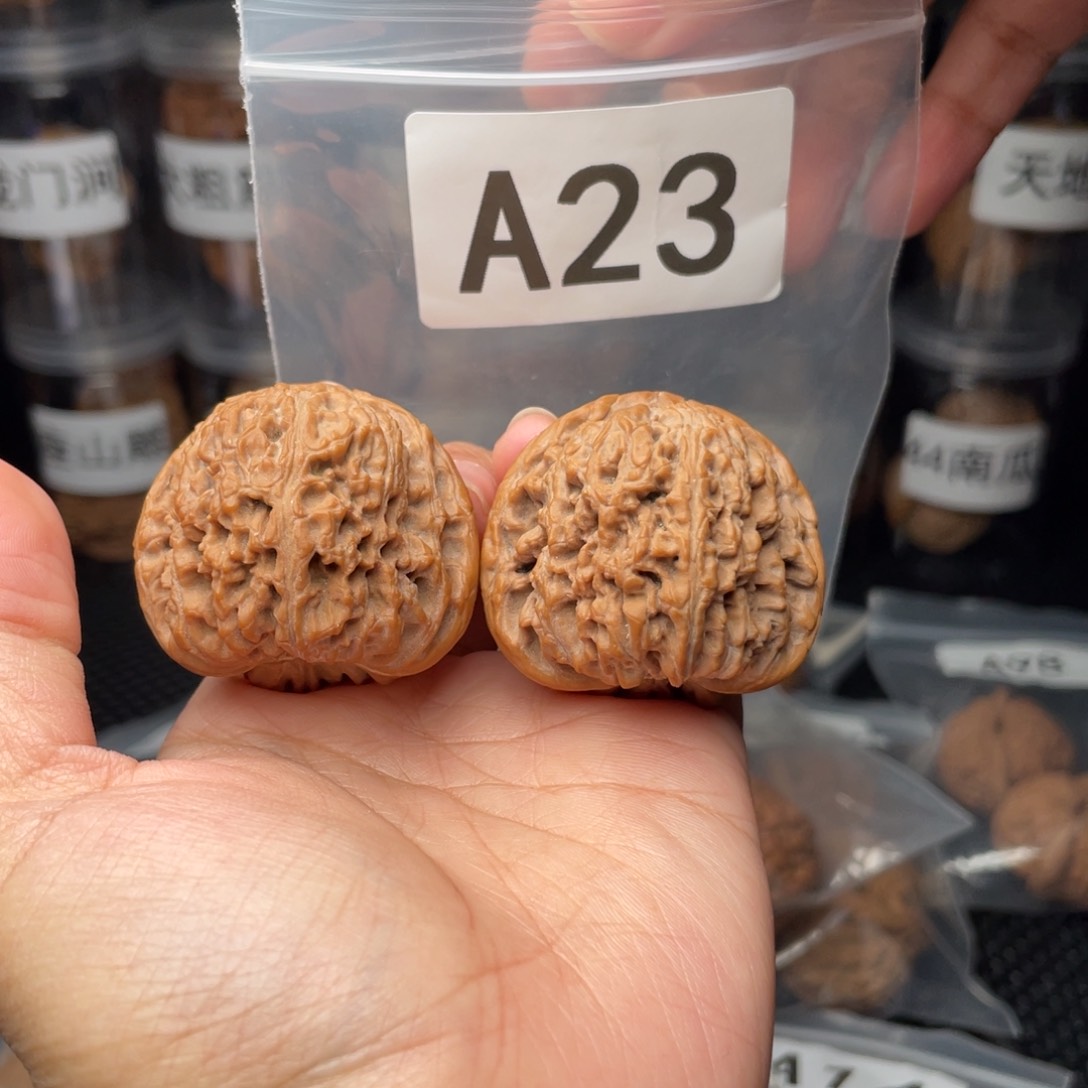 文玩核桃把件41南将