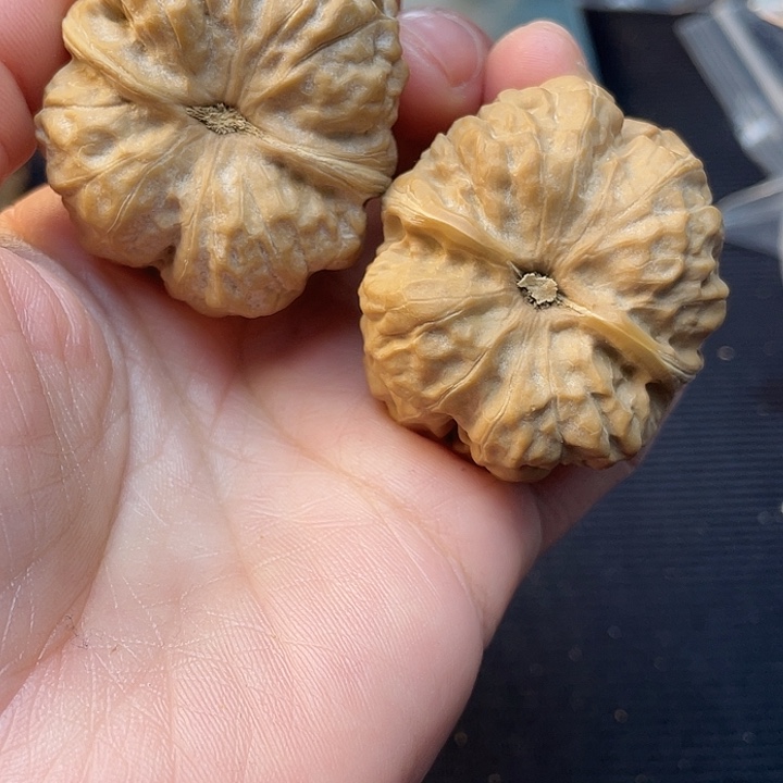 太***行文玩核桃吊坠蛙蛙