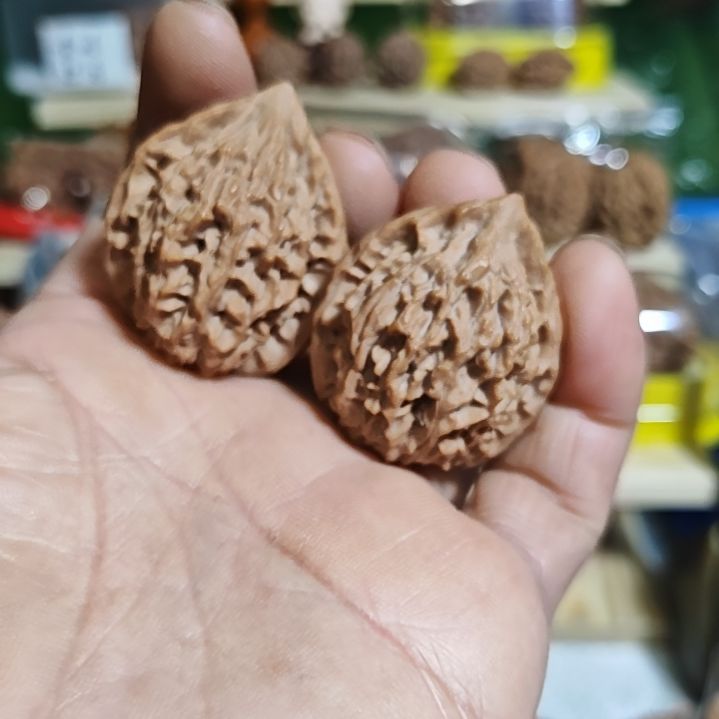 35加尺寸，秦岭野生鸡心