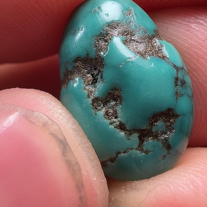 我们都是在这里看到的哈我们