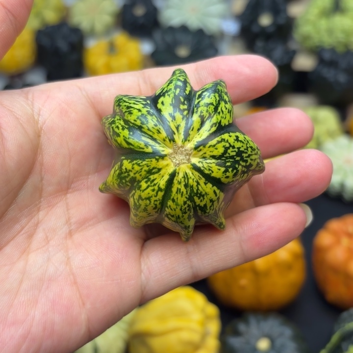 ?****发福利福利福利福利