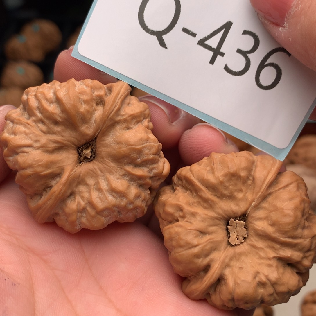 文玩核桃把件40蛙….