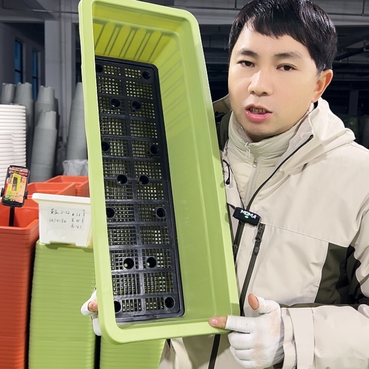 特价菜盆长65宽25高18果绿色2个无托