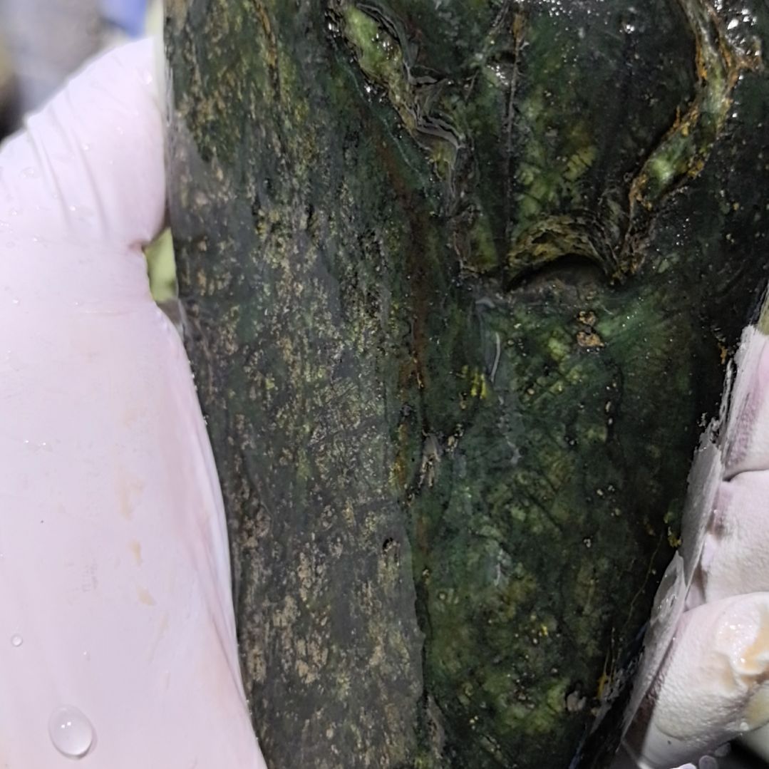 一***，藏玉药王石原石一个摆件