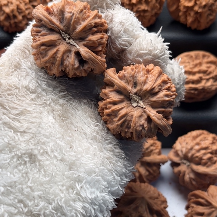 把件文玩核桃凹底狮子头43