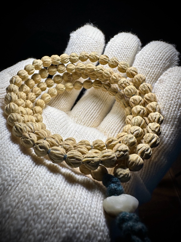 「菡萏」7.3➕热振百香籽一斤半出一条