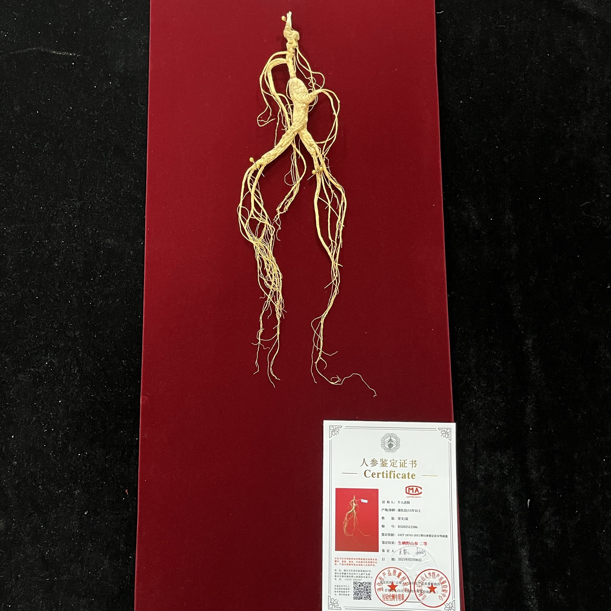 东北人参长白山林下参省检二等野山参正品人参礼盒泡酒煲汤送礼