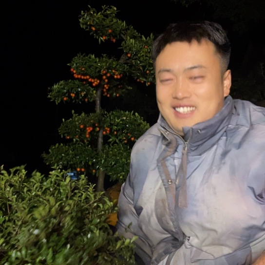 无花朵金弹子庭院原生品种