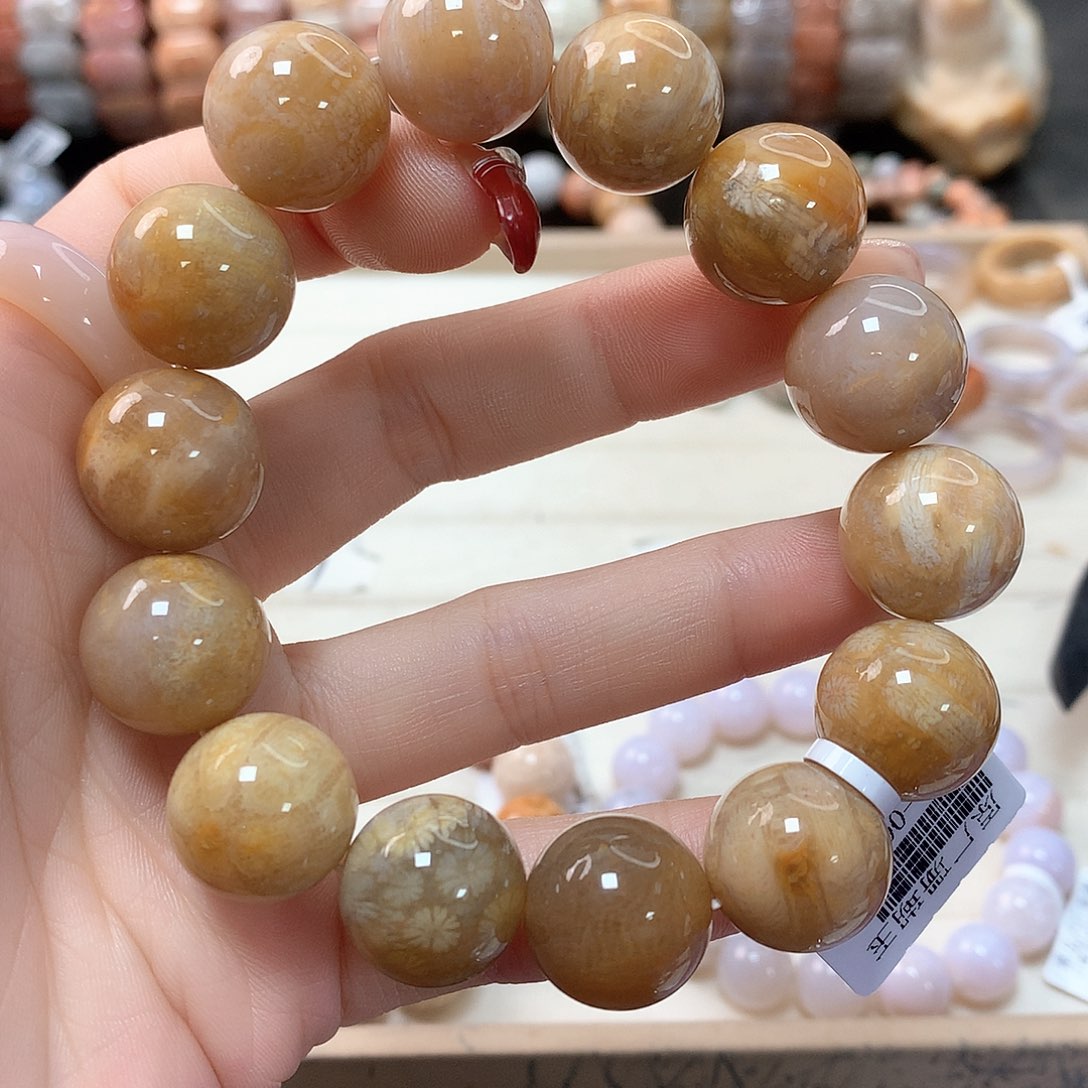 硅化珊瑚（珊瑚玉）手链未镶嵌A****)141