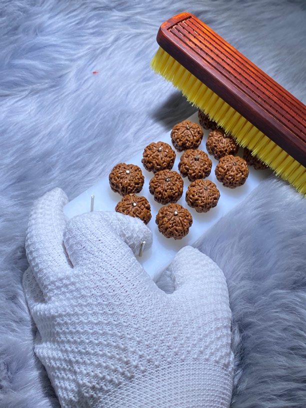 大金刚深清头尾板