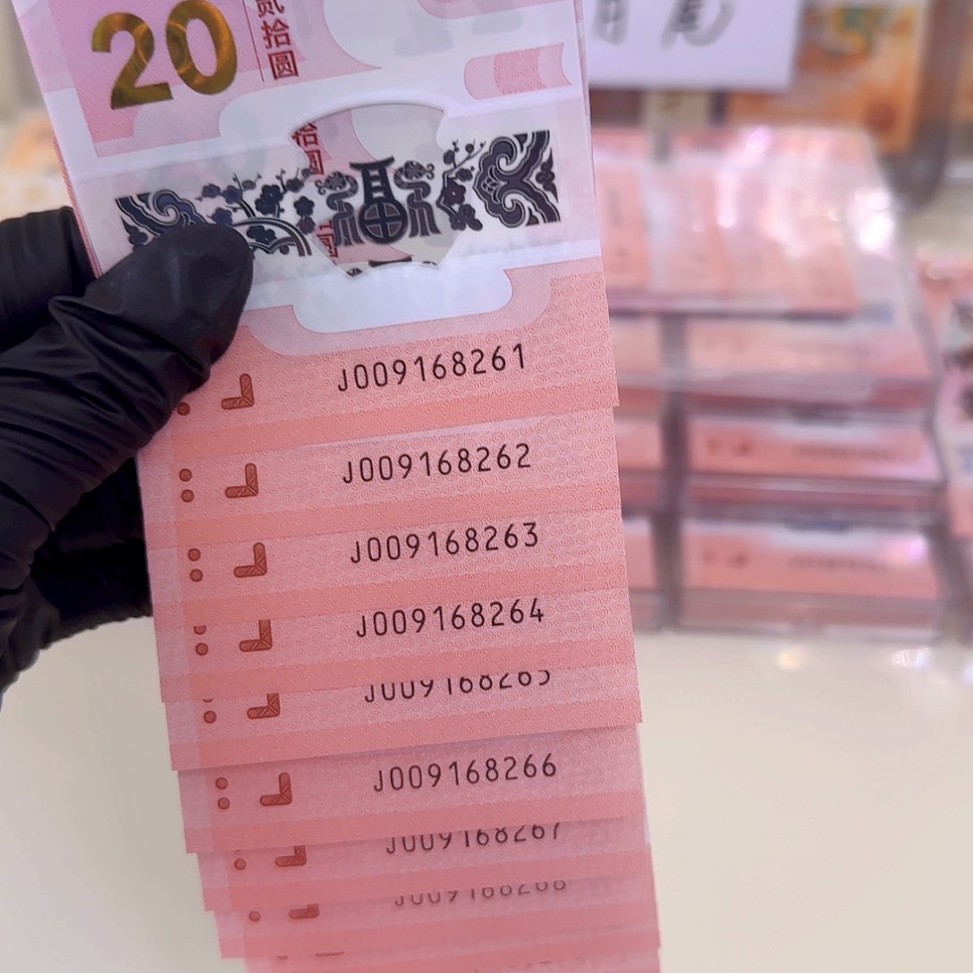 塑料生肖蛇朦胧标十009168261-70