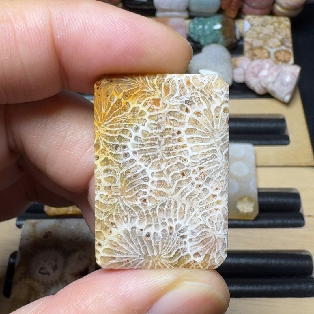 硅化玉纯天然色有机玉石未镶嵌
