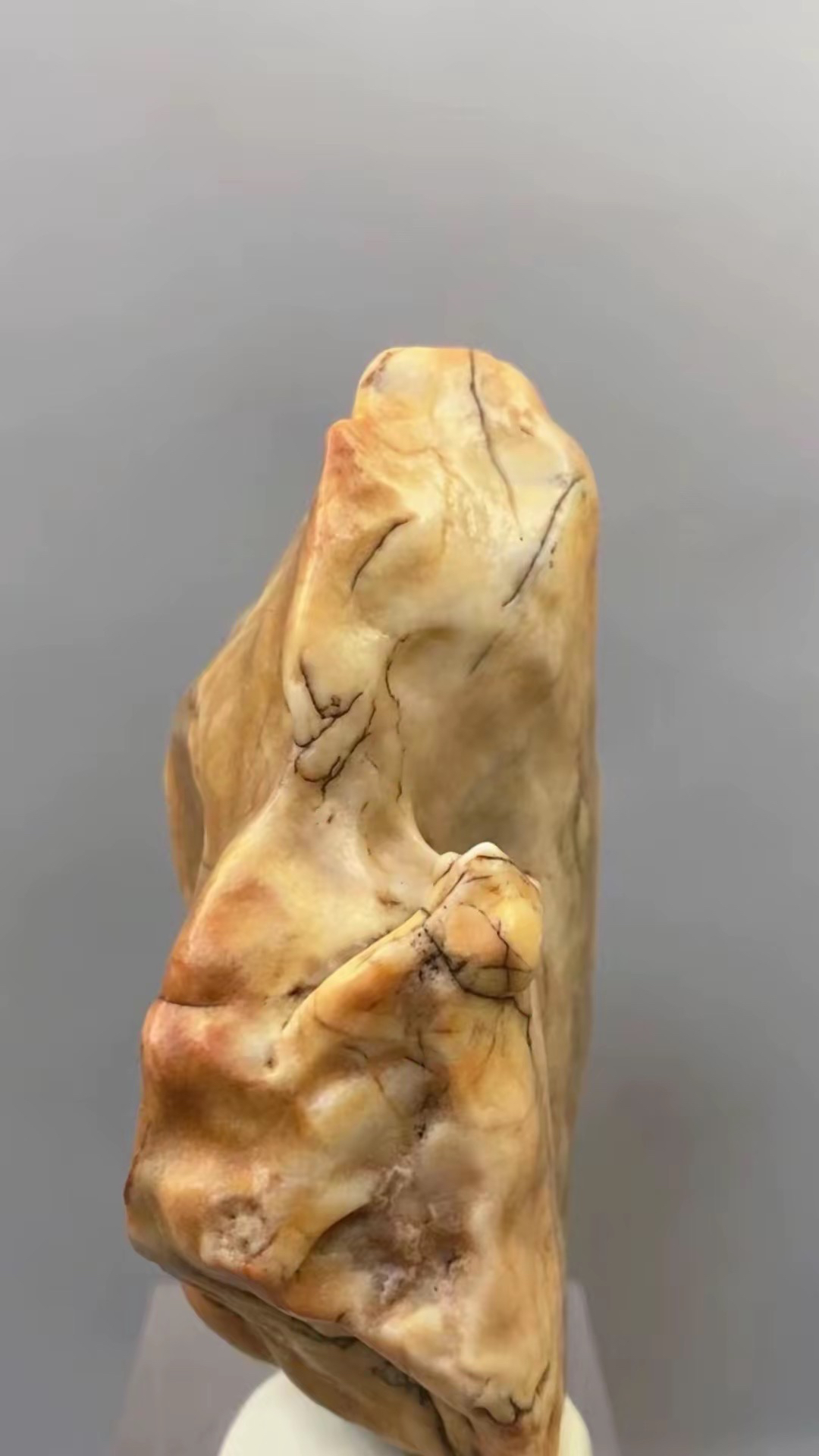 戈壁石，象形石，原石