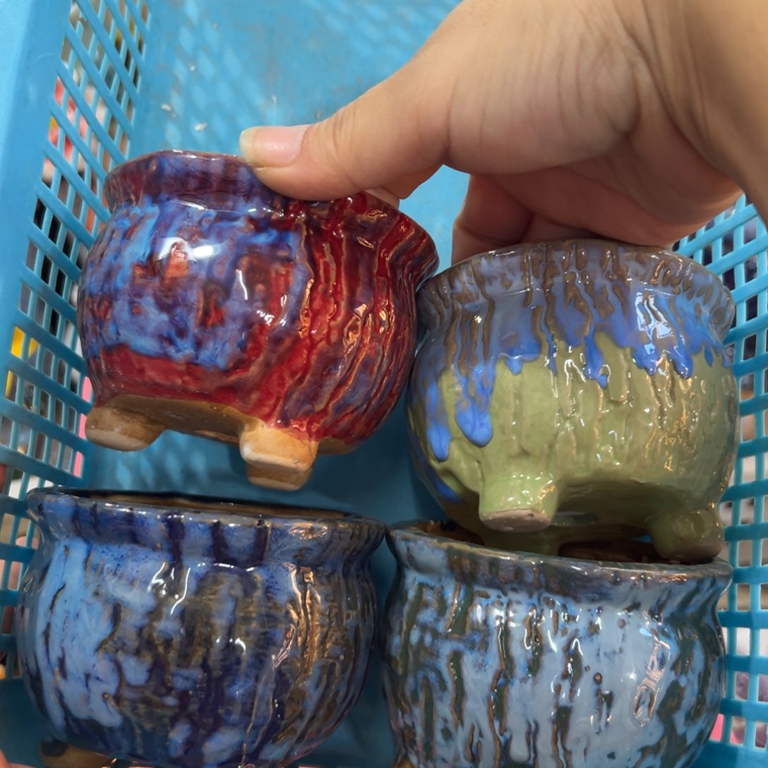 花盆满20元发货，退款的拉黑