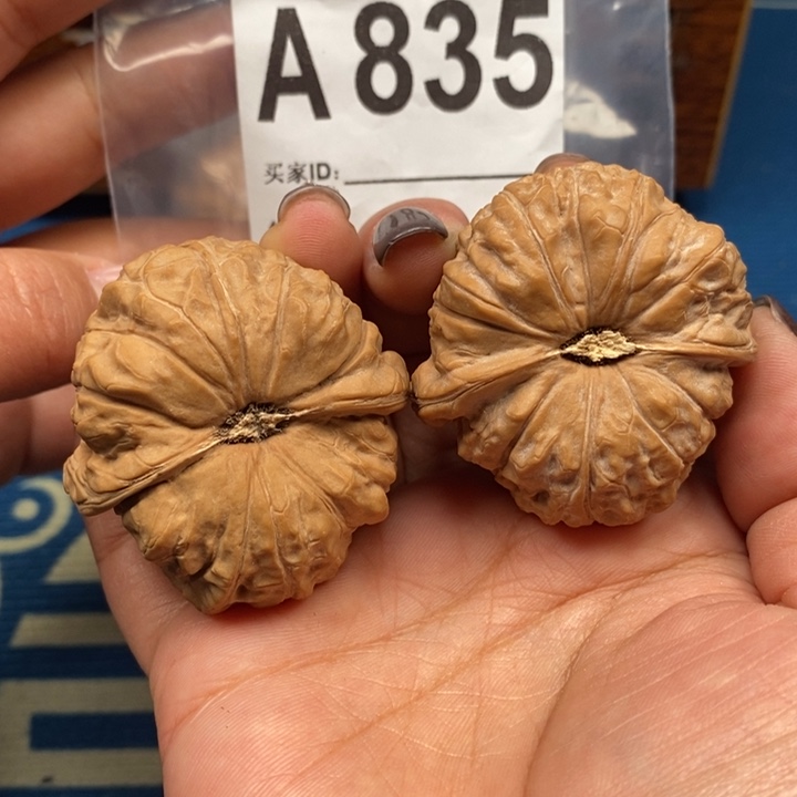 文玩核桃吊坠南瓜墩全品44-45A.835