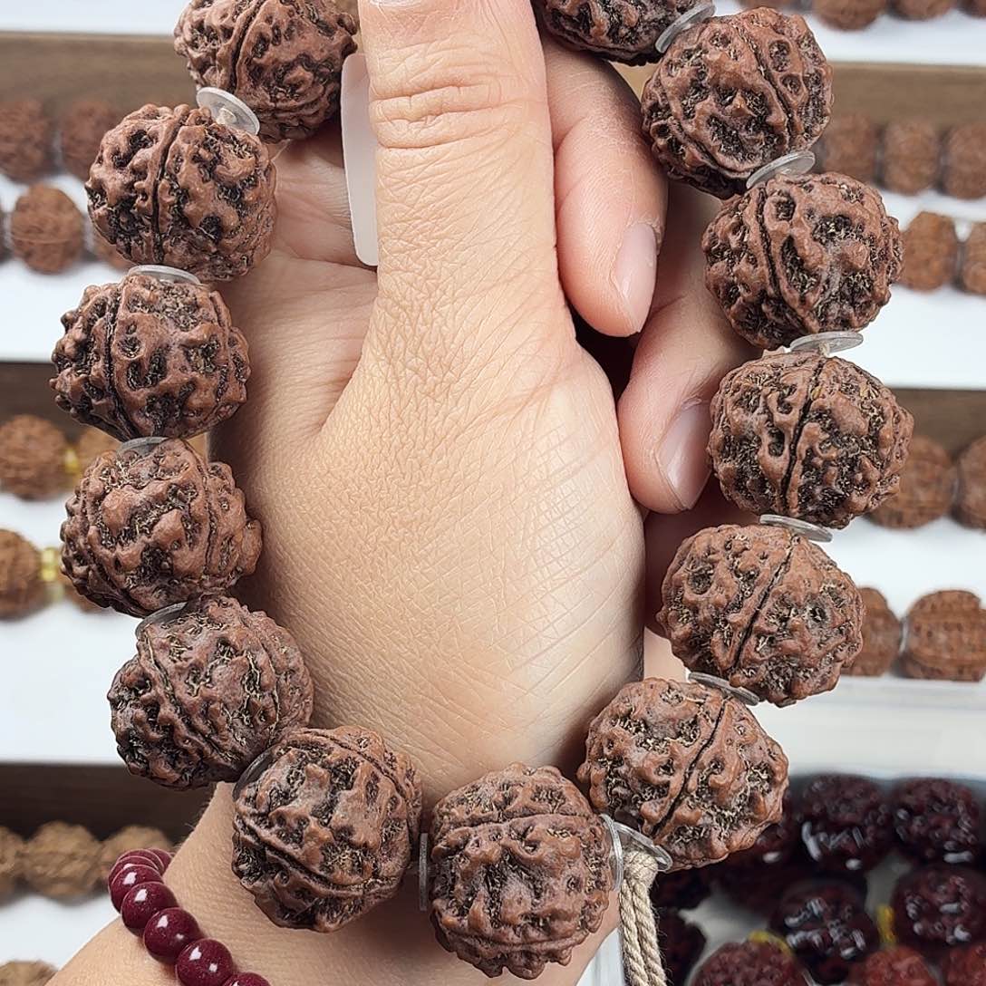 金刚菩提手串原生态精品龙骨梅花