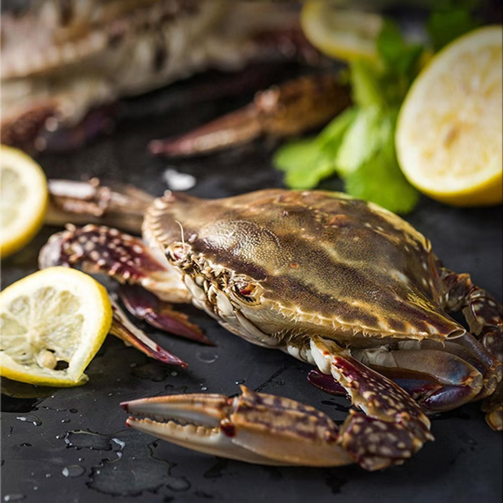 【东海海域】野生流网捕捞全母蟹6.0两/只 到手4斤装 顺丰/京东包邮 赠香辣包【液氮锁鲜 活冻发货】