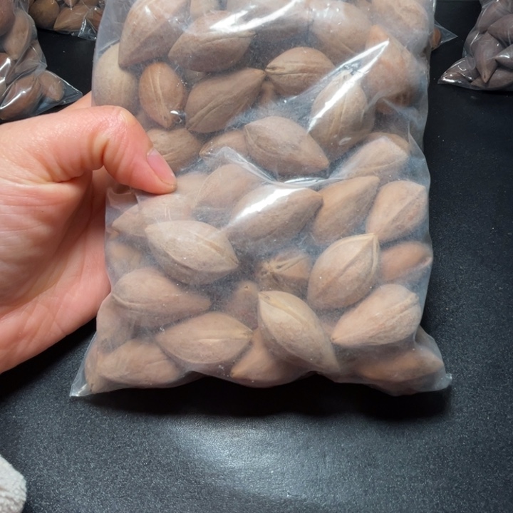 手串/手链猪牙我是