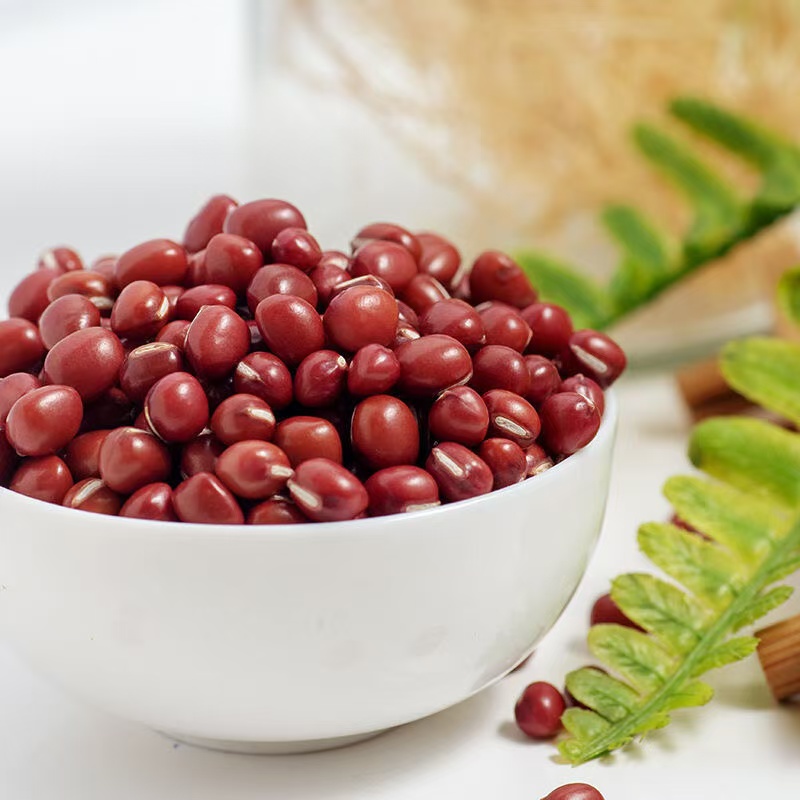 【升发】     红豆