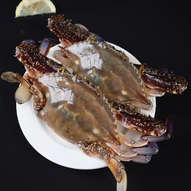 s【冻蟹爆炒】 连云港 母蟹 3-4两左右/只4斤装液氮速冻到手不是活的