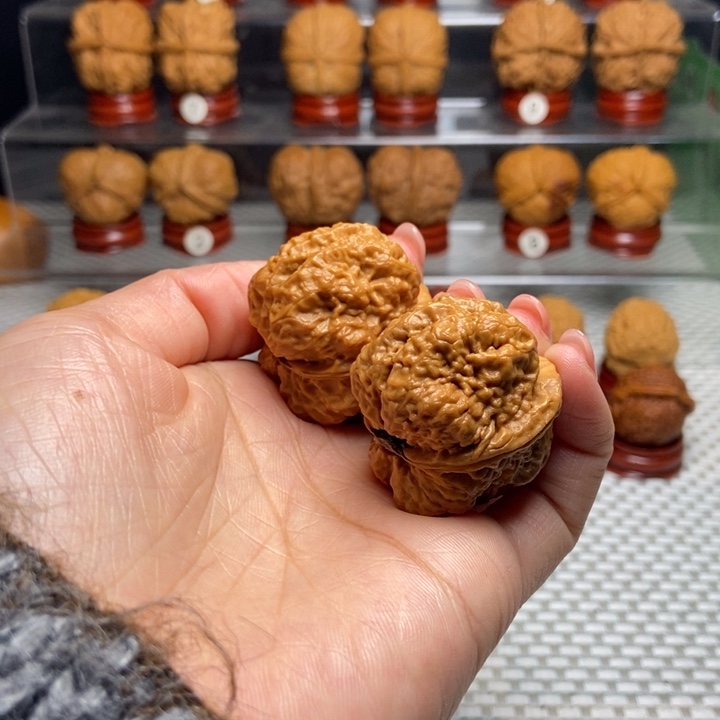 文玩核桃把件16小帝王蟾