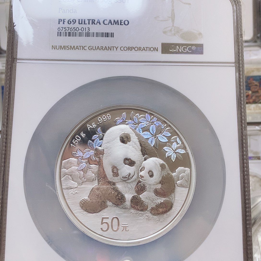 纯银24年熊猫150克69分
