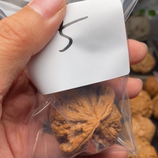 桃核吊坠O*o粗筋狮子