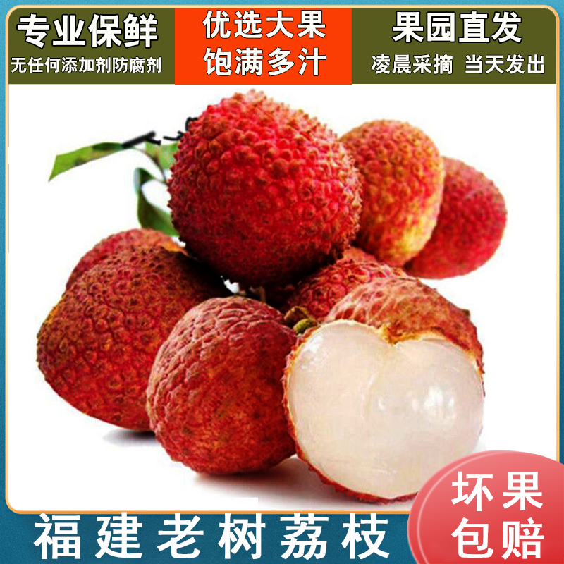 [百年老树乌石黑叶荔枝】YS荔枝新鲜现摘先发自家果园5斤装荔枝同城送