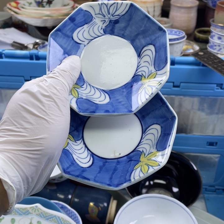 碟开播了开播了开播了