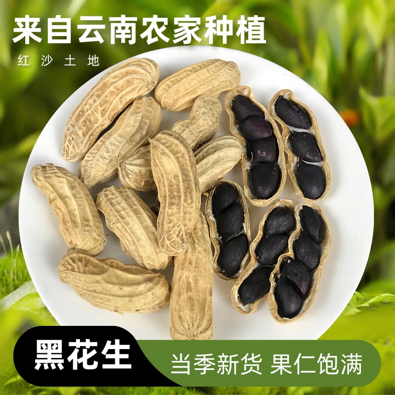 云南小粒黑花生带壳云南富硒黑皮花生米七彩花生普洱特产新货干货