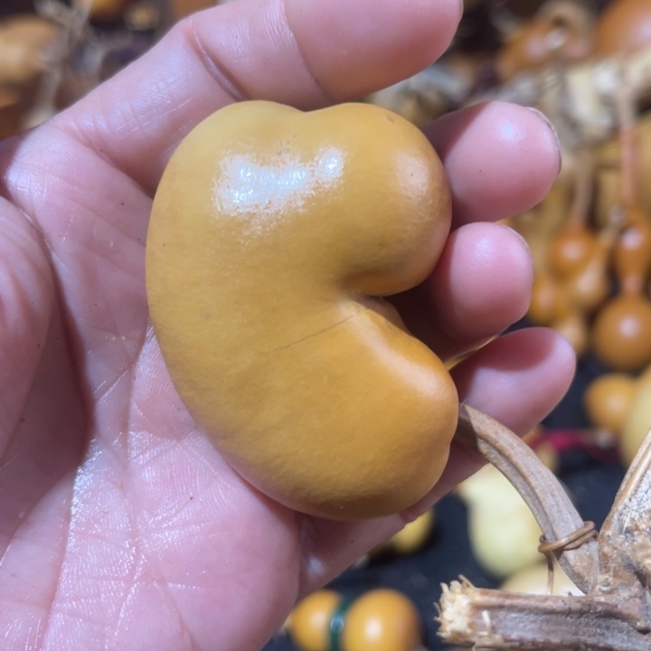 ****️葫芦葫哈哈哈哈哈哈