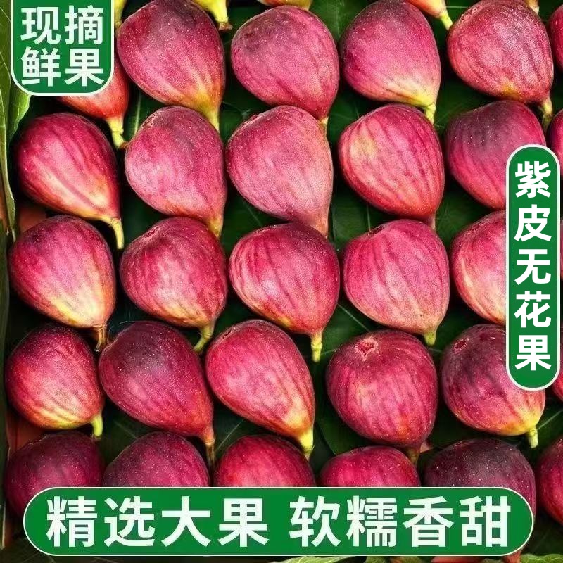 【顺丰鲜果】新鲜无花果紫皮现摘红皮无花果水果应季孕妇9-2S1