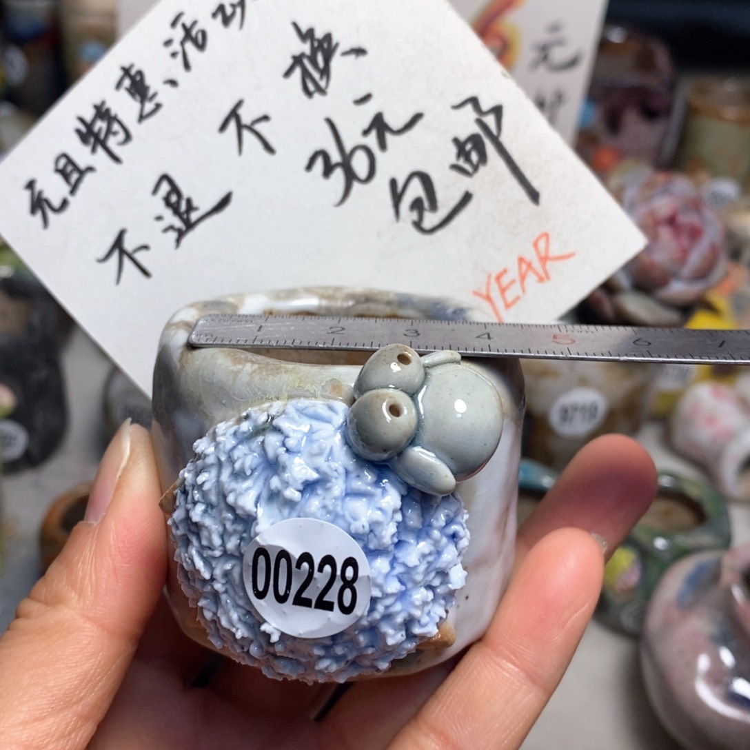 花盆拍5送一个小礼物