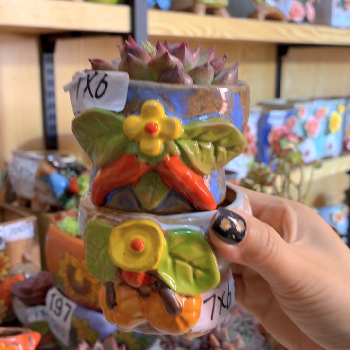 多肉花盆满15包邮