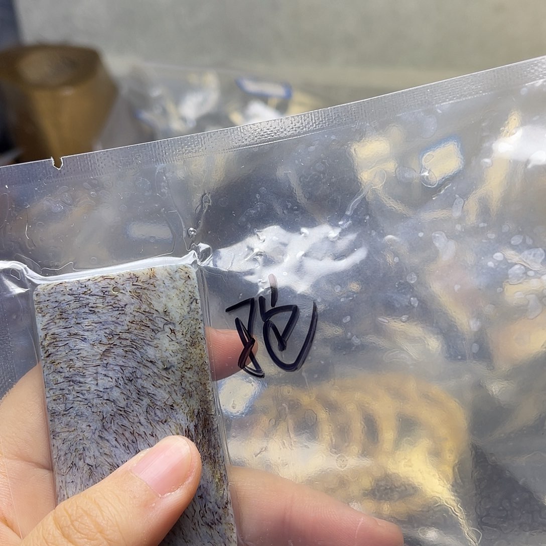 手串/手链驼骨牌子驼骨